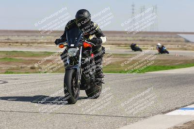 media/Feb-21-2025-Lets Ride (Fri) [[f483f33afd]]/A Group/1220pm (Wheelie BUmp)/